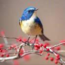 春暖花開(kāi)的頭像