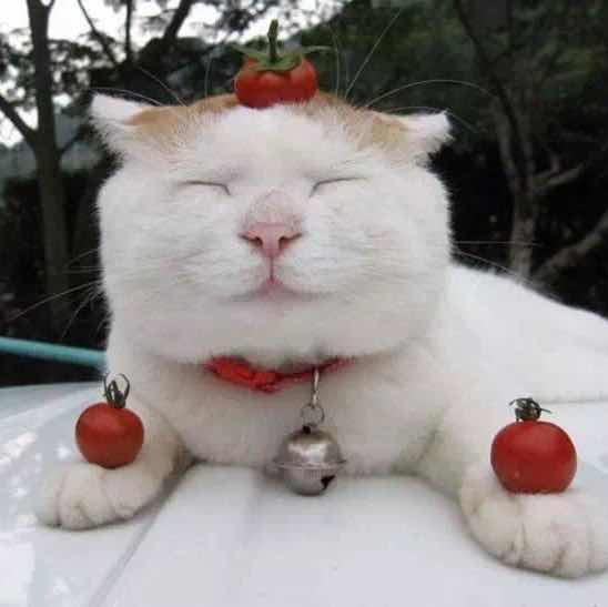 從過去，到現(xiàn)在。的頭像