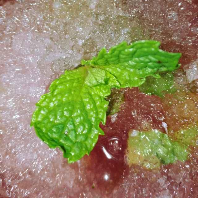 von	dieser	welt^ω^的頭像