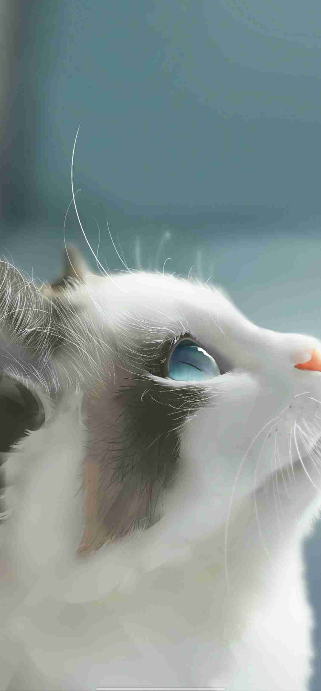 愛HERL1314的頭像