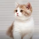 好想躺平的頭像