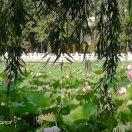 依然小昊的頭像