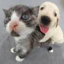 小琦睡不著.的頭像