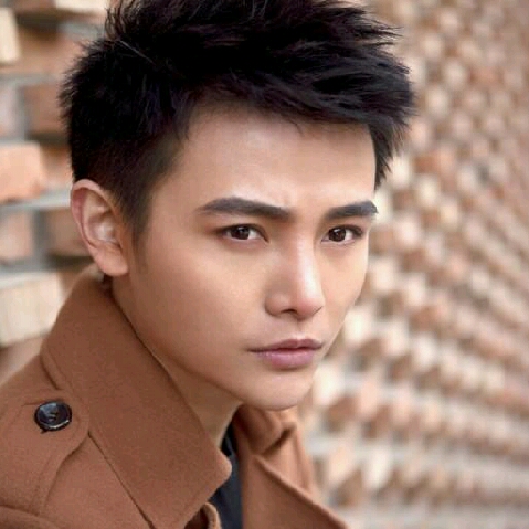 常青種業的頭像