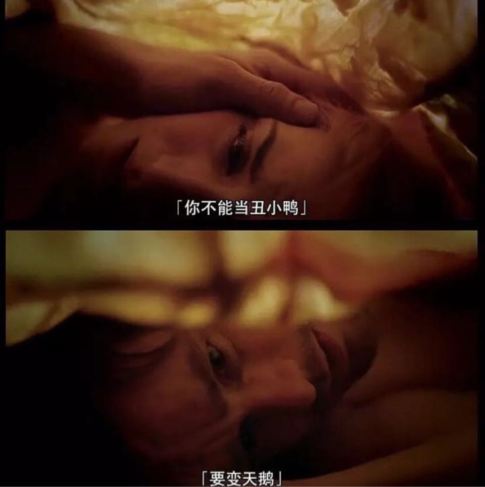 快樂(lè)的小麋鹿的頭像