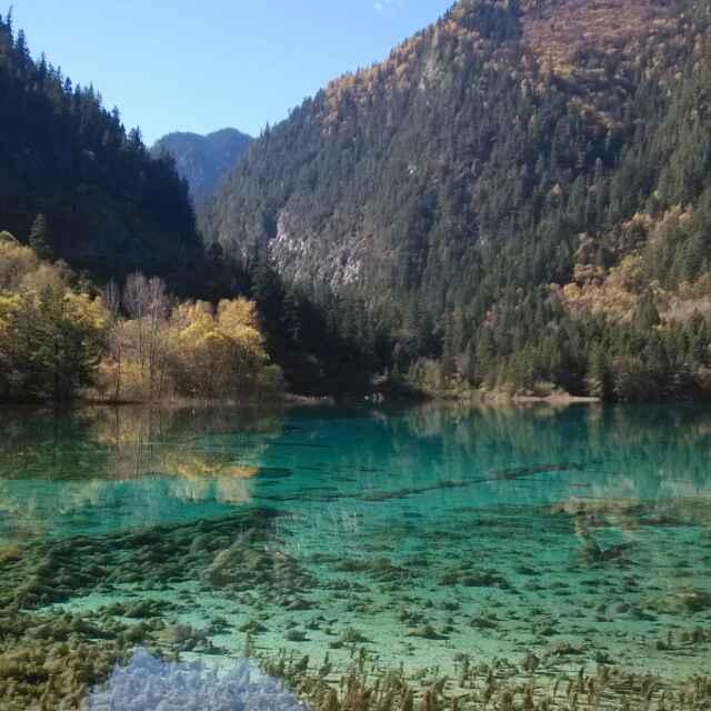 江西力成-馮13979523600的頭像