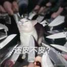 暴力小青年i的頭像