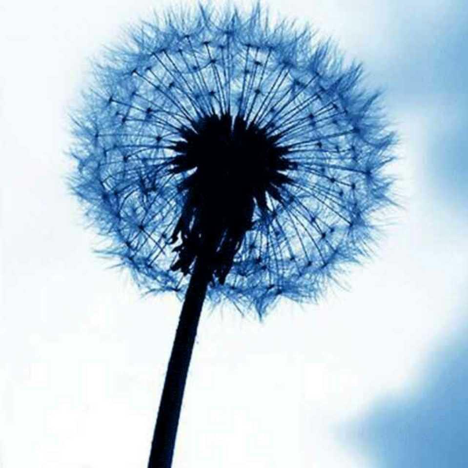 夢醒如初的頭像