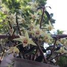 陽光尐裔℡???????????的頭像