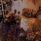 上善若水的頭像