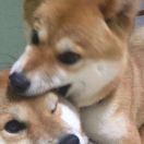 李	木	子的頭像