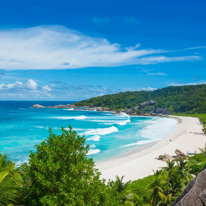 隨遇而安的頭像