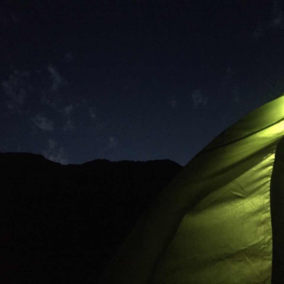 肖生克的9叔的頭像